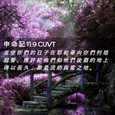 Picture 02 - 申 命 記 11:9 CUVT - 並 使 你 們 的 日 子 在 耶 和 華 向 - Bible Verse Picture