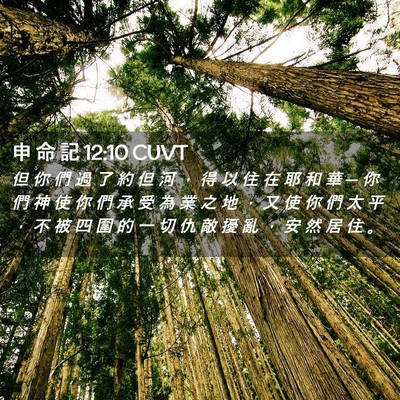 Picture 02 - 申 命 記 12:10 CUVT - 但 你 們 過 了 約 但 河 ， 得 以 住 - Bible Verse Picture