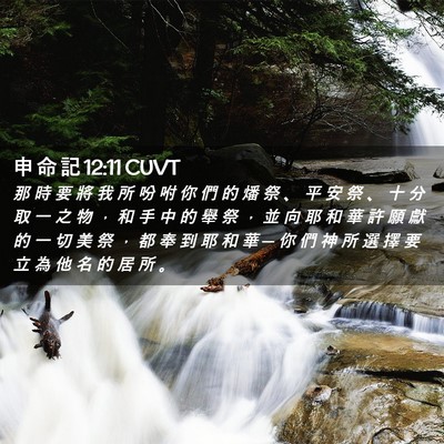 Picture 02 - 申 命 記 12:11 CUVT - 那 時 要 將 我 所 吩 咐 你 們 的 燔 - Bible Verse Picture