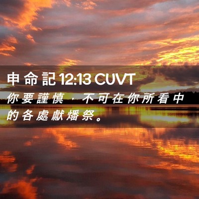 Picture 02 - 申 命 記 12:13 CUVT - 你 要 謹 慎 ， 不 可 在 你 所 看 中 - Bible Verse Picture