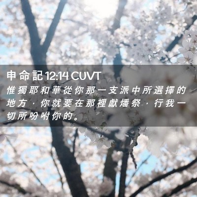 Picture 02 - 申 命 記 12:14 CUVT - 惟 獨 耶 和 華 從 你 那 一 支 派 中 - Bible Verse Picture