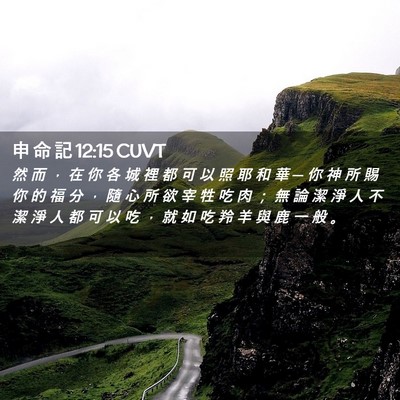 Picture 02 - 申 命 記 12:15 CUVT - 然 而 ， 在 你 各 城 裡 都 可 以 照 - Bible Verse Picture