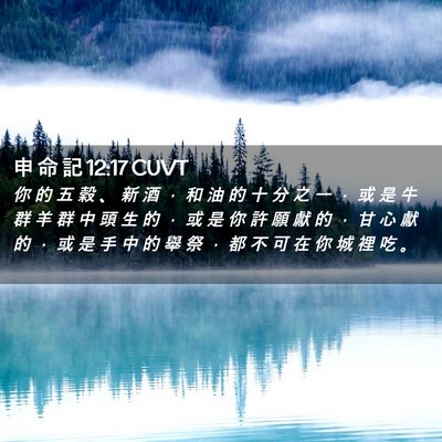 Picture 02 - 申 命 記 12:17 CUVT - 你 的 五 穀 、 新 酒 ， 和 油 的 十 - Bible Verse Picture