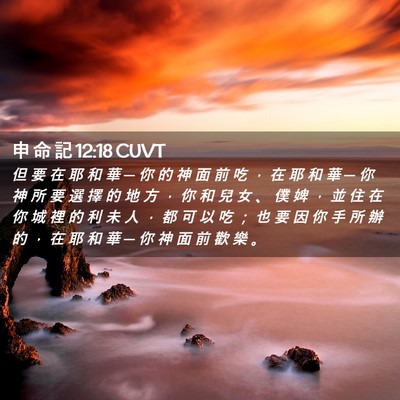 Picture 02 - 申 命 記 12:18 CUVT - 但 要 在 耶 和 華 ─ 你 的 神 面 前 - Bible Verse Picture