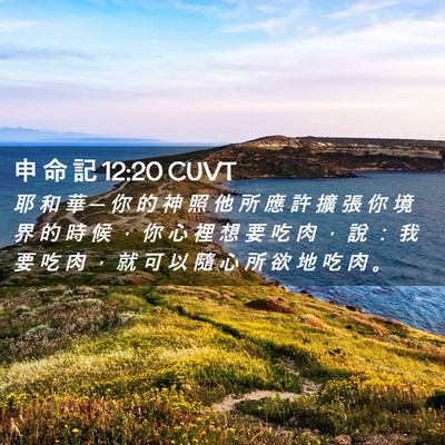 Picture 02 - 申 命 記 12:20 CUVT - 耶 和 華 ─ 你 的 神 照 他 所 應 許 - Bible Verse Picture
