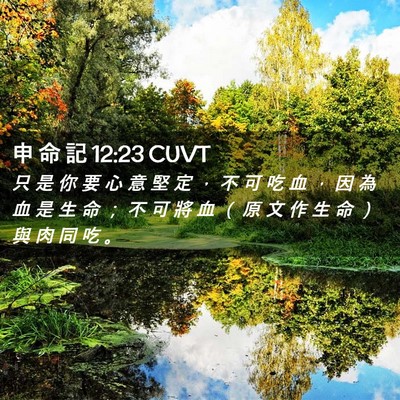 Picture 02 - 申 命 記 12:23 CUVT - 只 是 你 要 心 意 堅 定 ， 不 可 吃 - Bible Verse Picture