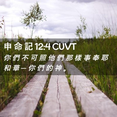 Picture 02 - 申 命 記 12:4 CUVT - 你 們 不 可 照 他 們 那 樣 事 奉 耶 - Bible Verse Picture