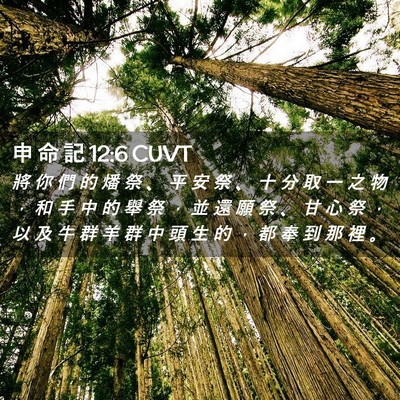 Picture 02 - 申 命 記 12:6 CUVT - 將 你 們 的 燔 祭 、 平 安 祭 、 十 - Bible Verse Picture