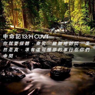 Picture 02 - 申 命 記 13:14 CUVT - 你 就 要 探 聽 ， 查 究 ， 細 細 地 - Bible Verse Picture