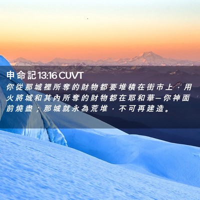 Picture 02 - 申 命 記 13:16 CUVT - 你 從 那 城 裡 所 奪 的 財 物 都 要 - Bible Verse Picture