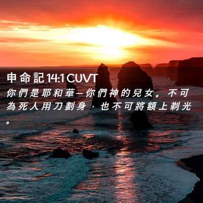 Picture 02 - 申 命 記 14:1 CUVT - 你 們 是 耶 和 華 ─ 你 們 神 的 兒 - Bible Verse Picture