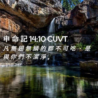 Picture 02 - 申 命 記 14:10 CUVT - 凡 無 翅 無 鱗 的 都 不 可 吃 ， 是 - Bible Verse Picture