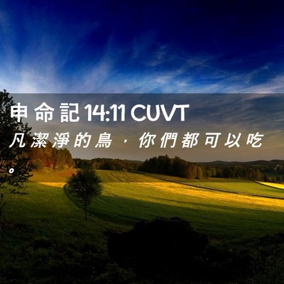 Picture 02 - 申 命 記 14:11 CUVT - 凡 潔 淨 的 鳥 ， 你 們 都 可 以 吃 - Bible Verse Picture
