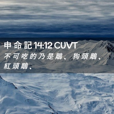 Picture 02 - 申 命 記 14:12 CUVT - 不 可 吃 的 乃 是 鵰 、 狗 頭 鵰 、 - Bible Verse Picture