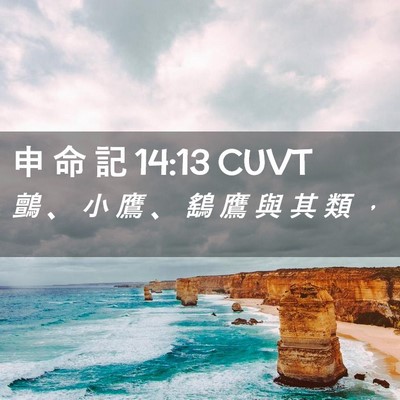 Picture 02 - 申 命 記 14:13 CUVT - 鸇 、 小 鷹 、 鷂 鷹 與 其 類 - Bible Verse Picture