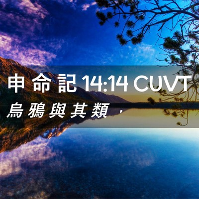 Picture 02 - 申 命 記 14:14 CUVT - 烏 鴉 與 其 類 - Bible Verse Picture