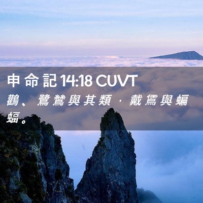 Picture 02 - 申 命 記 14:18 CUVT - 鸛 、 鷺 鷥 與 其 類 ， 戴 鵀 與 蝙 - Bible Verse Picture