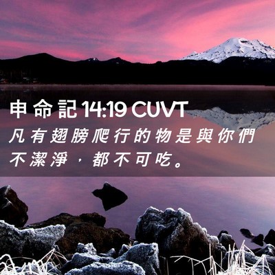 Picture 02 - 申 命 記 14:19 CUVT - 凡 有 翅 膀 爬 行 的 物 是 與 你 們 - Bible Verse Picture