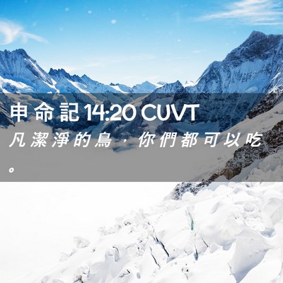 Picture 02 - 申 命 記 14:20 CUVT - 凡 潔 淨 的 鳥 ， 你 們 都 可 以 吃 - Bible Verse Picture