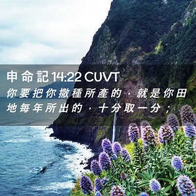 Picture 02 - 申 命 記 14:22 CUVT - 你 要 把 你 撒 種 所 產 的 ， 就 是 - Bible Verse Picture
