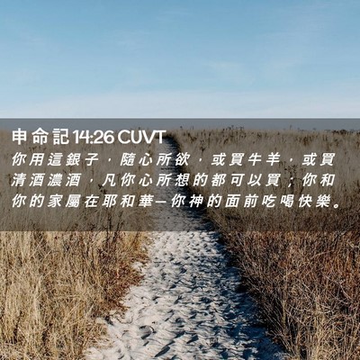 Picture 02 - 申 命 記 14:26 CUVT - 你 用 這 銀 子 ， 隨 心 所 欲 ， 或 - Bible Verse Picture