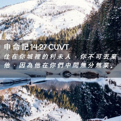 Picture 02 - 申 命 記 14:27 CUVT - 住 在 你 城 裡 的 利 未 人 ， 你 不 - Bible Verse Picture
