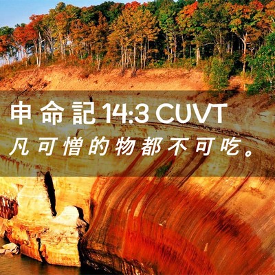 Picture 02 - 申 命 記 14:3 CUVT - 凡 可 憎 的 物 都 不 可 吃 - Bible Verse Picture