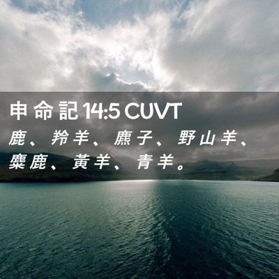 Picture 02 - 申 命 記 14:5 CUVT - 鹿 、 羚 羊 、 麃 子 、 野 山 羊 、 - Bible Verse Picture
