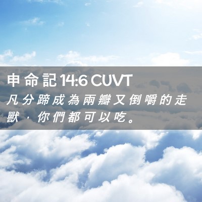 Picture 02 - 申 命 記 14:6 CUVT - 凡 分 蹄 成 為 兩 瓣 又 倒 嚼 的 走 - Bible Verse Picture