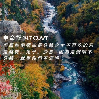 Picture 02 - 申 命 記 14:7 CUVT - 但 那 些 倒 嚼 或 是 分 蹄 之 中 不 - Bible Verse Picture