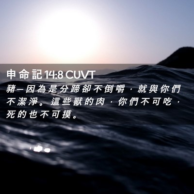 Picture 02 - 申 命 記 14:8 CUVT - 豬 ─ 因 為 是 分 蹄 卻 不 倒 嚼 ， - Bible Verse Picture