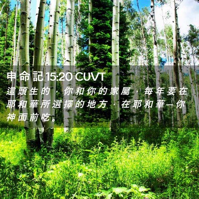 Picture 02 - 申 命 記 15:20 CUVT - 這 頭 生 的 ， 你 和 你 的 家 屬 ， - Bible Verse Picture