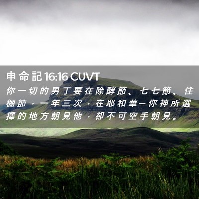 Picture 02 - 申 命 記 16:16 CUVT - 你 一 切 的 男 丁 要 在 除 酵 節 、 - Bible Verse Picture