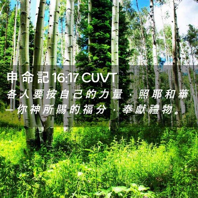 Picture 02 - 申 命 記 16:17 CUVT - 各 人 要 按 自 己 的 力 量 ， 照 耶 - Bible Verse Picture