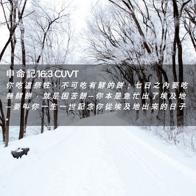 Picture 02 - 申 命 記 16:3 CUVT - 你 吃 這 祭 牲 ， 不 可 吃 有 酵 的 - Bible Verse Picture