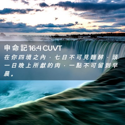 Picture 02 - 申 命 記 16:4 CUVT - 在 你 四 境 之 內 ， 七 日 不 可 見 - Bible Verse Picture
