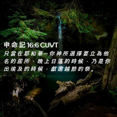 Picture 02 - 申 命 記 16:6 CUVT - 只 當 在 耶 和 華 ─ 你 神 所 選 擇 - Bible Verse Picture