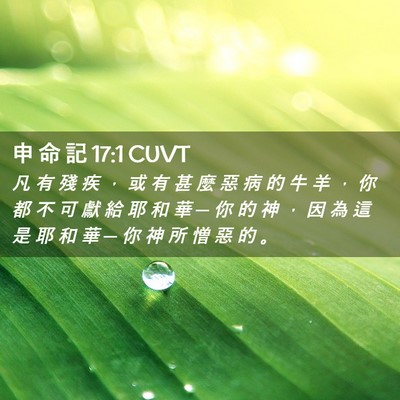 Picture 02 - 申 命 記 17:1 CUVT - 凡 有 殘 疾 ， 或 有 甚 麼 惡 病 的 - Bible Verse Picture