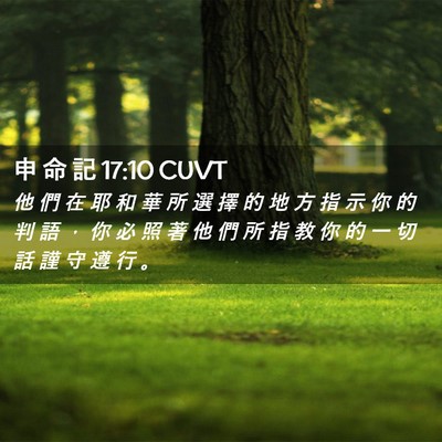 Picture 02 - 申 命 記 17:10 CUVT - 他 們 在 耶 和 華 所 選 擇 的 地 方 - Bible Verse Picture