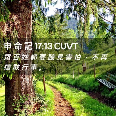 Picture 02 - 申 命 記 17:13 CUVT - 眾 百 姓 都 要 聽 見 害 怕 ， 不 再 - Bible Verse Picture