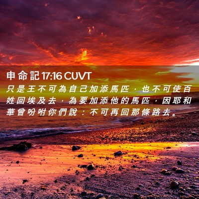 Picture 02 - 申 命 記 17:16 CUVT - 只 是 王 不 可 為 自 己 加 添 馬 匹 - Bible Verse Picture
