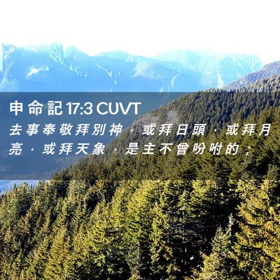 Picture 02 - 申 命 記 17:3 CUVT - 去 事 奉 敬 拜 別 神 ， 或 拜 日 頭 - Bible Verse Picture