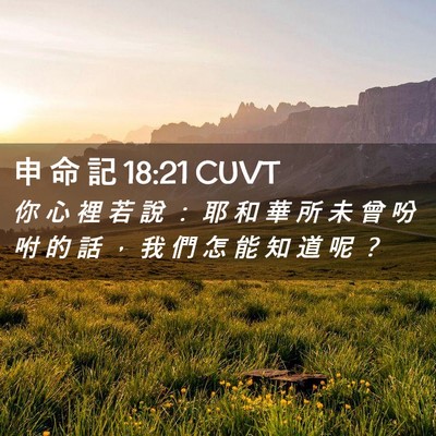 Picture 02 - 申 命 記 18:21 CUVT - 你 心 裡 若 說 ： 耶 和 華 所 未 曾 - Bible Verse Picture
