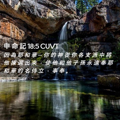 Picture 02 - 申 命 記 18:5 CUVT - 因 為 耶 和 華 ─ 你 的 神 從 你 各 - Bible Verse Picture