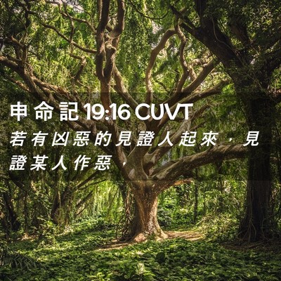 Picture 02 - 申 命 記 19:16 CUVT - 若 有 凶 惡 的 見 證 人 起 來 ， 見 - Bible Verse Picture