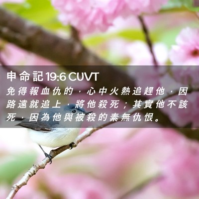 Picture 02 - 申 命 記 19:6 CUVT - 免 得 報 血 仇 的 ， 心 中 火 熱 追 - Bible Verse Picture