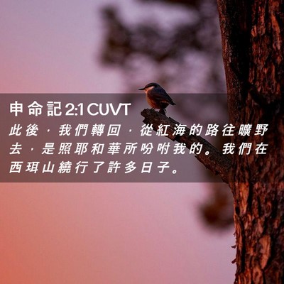 Picture 02 - 申 命 記 2:1 CUVT - 此 後 ， 我 們 轉 回 ， 從 紅 海 的 - Bible Verse Picture