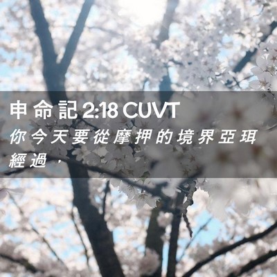 Picture 02 - 申 命 記 2:18 CUVT - 你 今 天 要 從 摩 押 的 境 界 亞 珥 - Bible Verse Picture