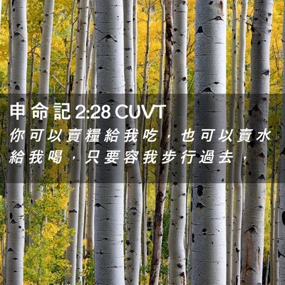 Picture 02 - 申 命 記 2:28 CUVT - 你 可 以 賣 糧 給 我 吃 ， 也 可 以 - Bible Verse Picture