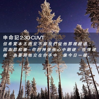 Picture 02 - 申 命 記 2:30 CUVT - 但 希 實 本 王 西 宏 不 容 我 們 從 - Bible Verse Picture